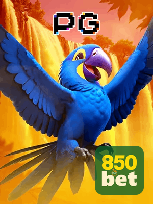 850BET bônus — cashback 15 por cento e níveis VIP